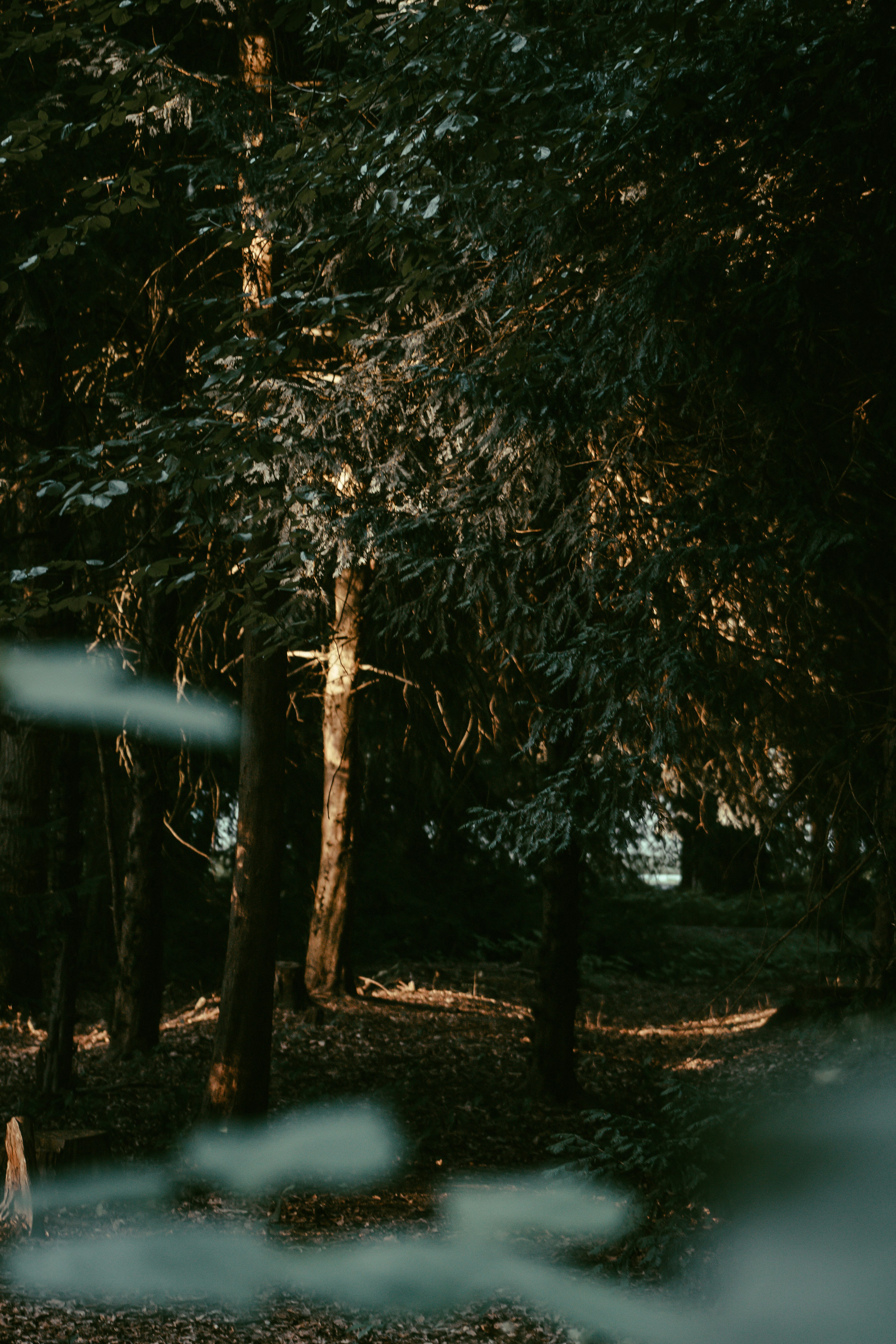 Photo by remco_marien