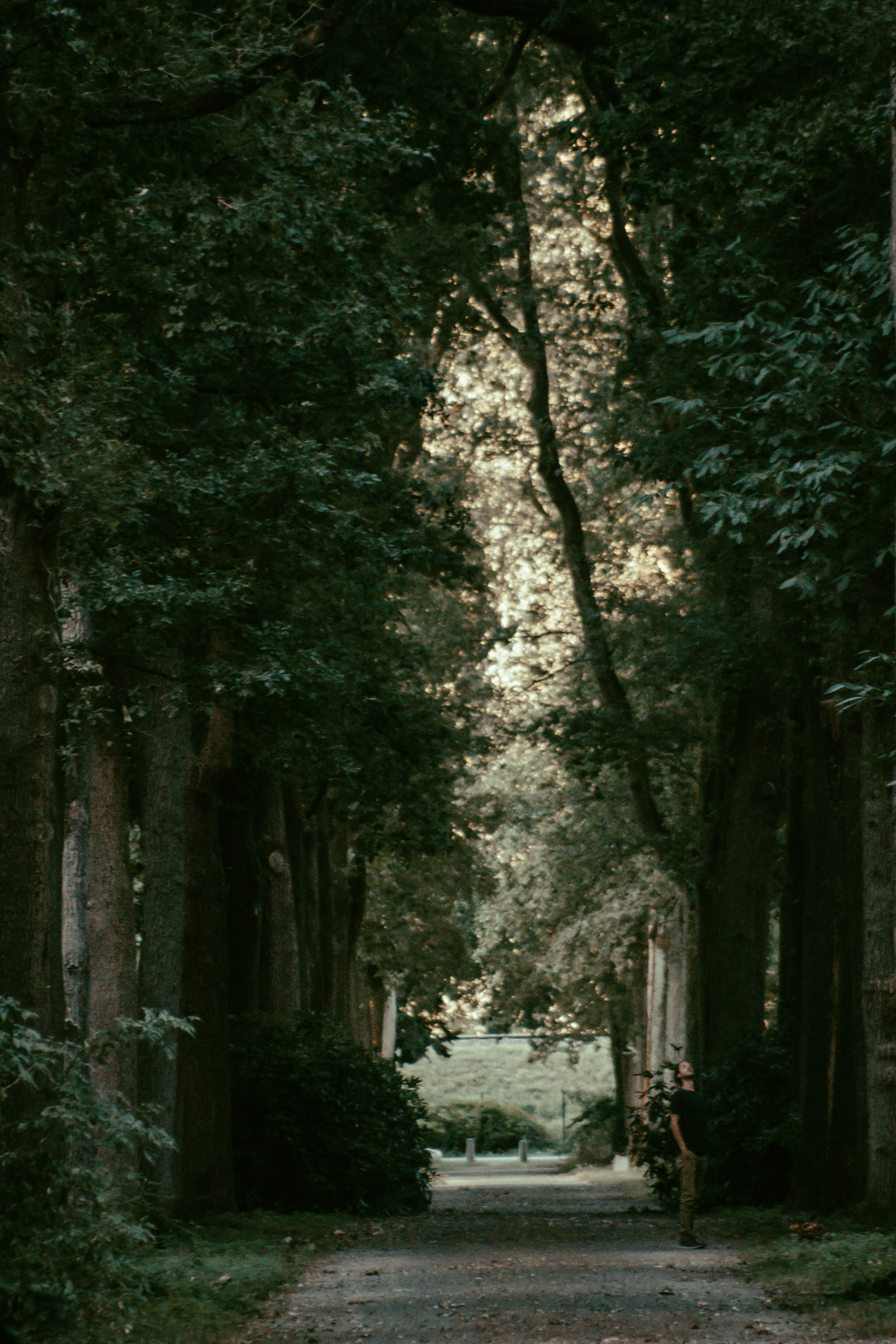 Photo by remco_marien