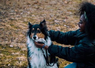 woman in green jacket sitting beside white black and brown long coated dog during daytime