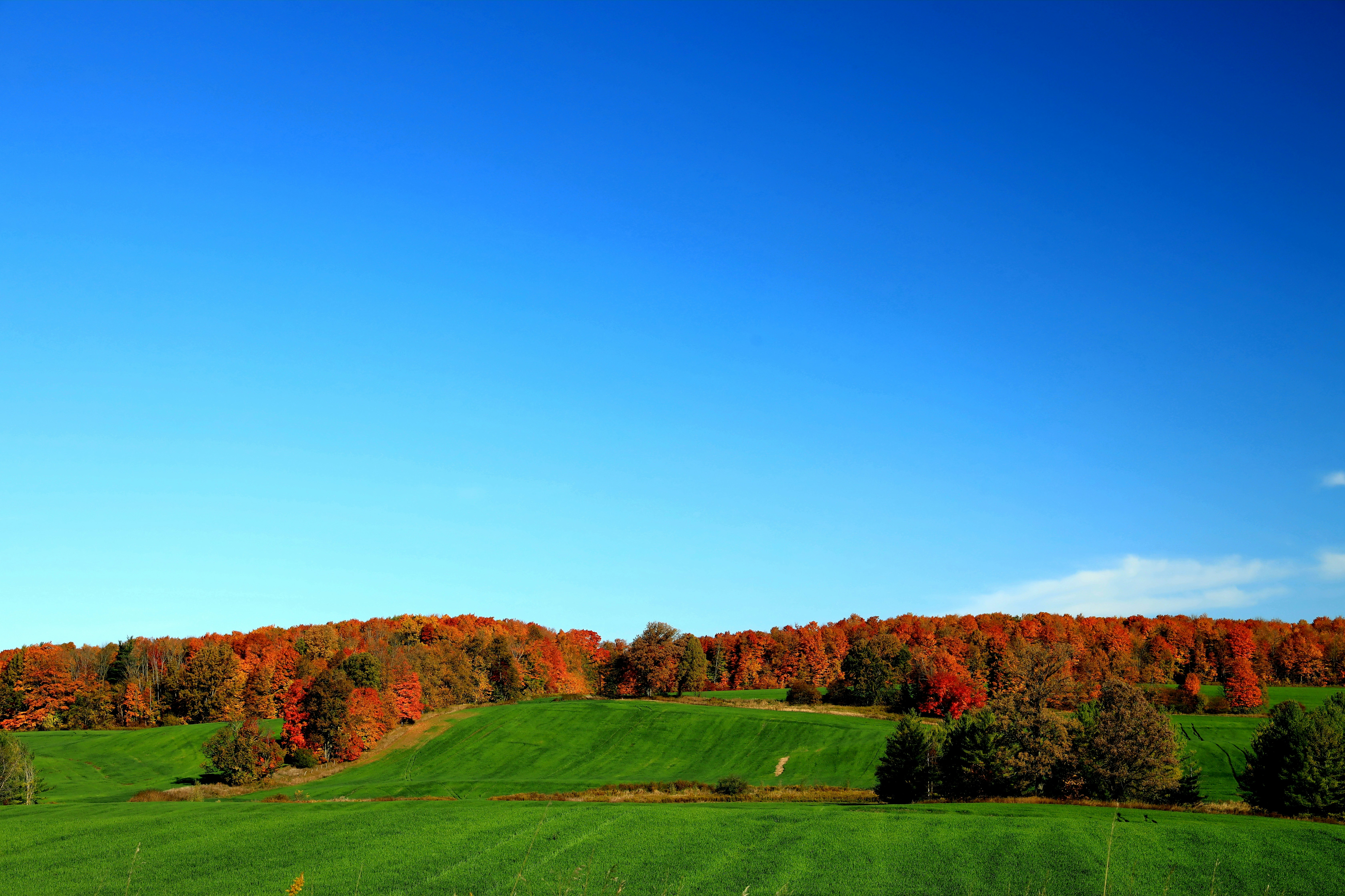 Photo by richardworks