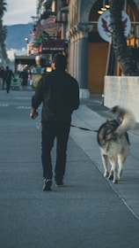 A person walking a large dog on a leash along a sidewalk lined with palm trees and storefronts. The setting appears to be an urban street with people and colorful signs in the background, suggesting a vibrant neighborhood or city area.