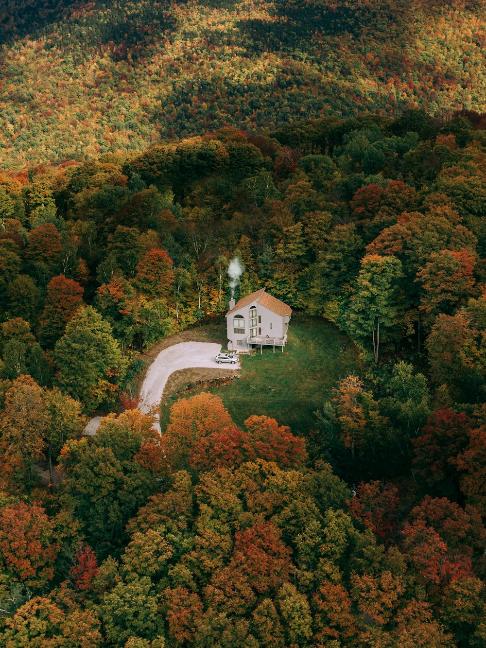 white and brown house surrounded by trees