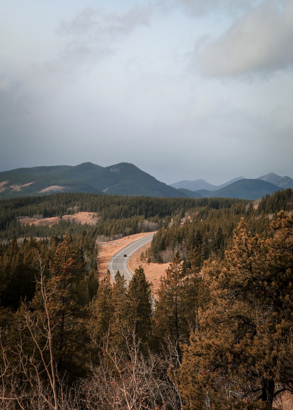 green trees and mountains during daytime