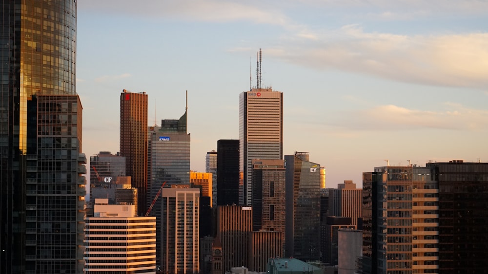 high rise buildings during daytime