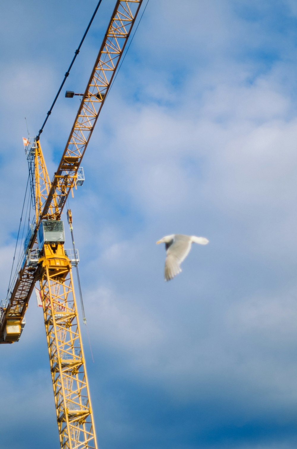 white bird flying over yellow tower crane under blue sky during daytime