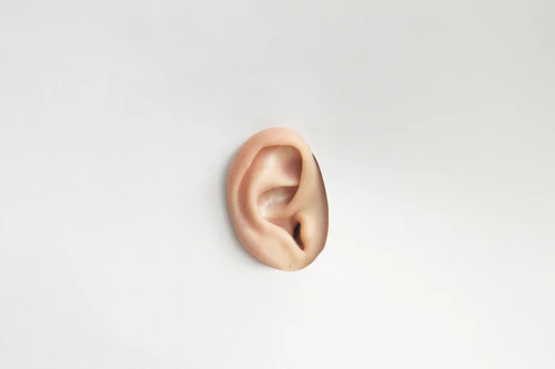 Reusable earplugs