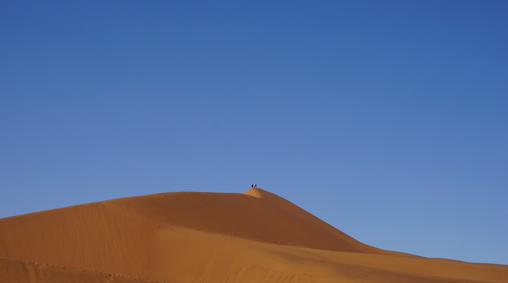 brown sand under blue sky during daytime