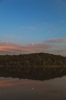 A serene moonlit forest, symbolizing tranquility and healing.
