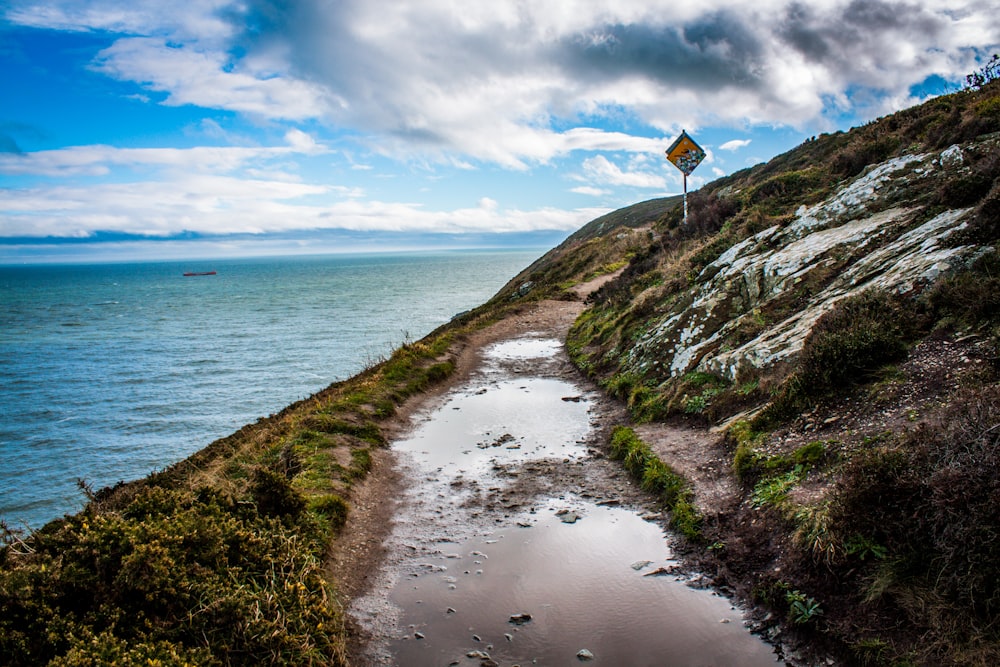 green grass on hill by the sea under blue and white cloudy sky during daytime