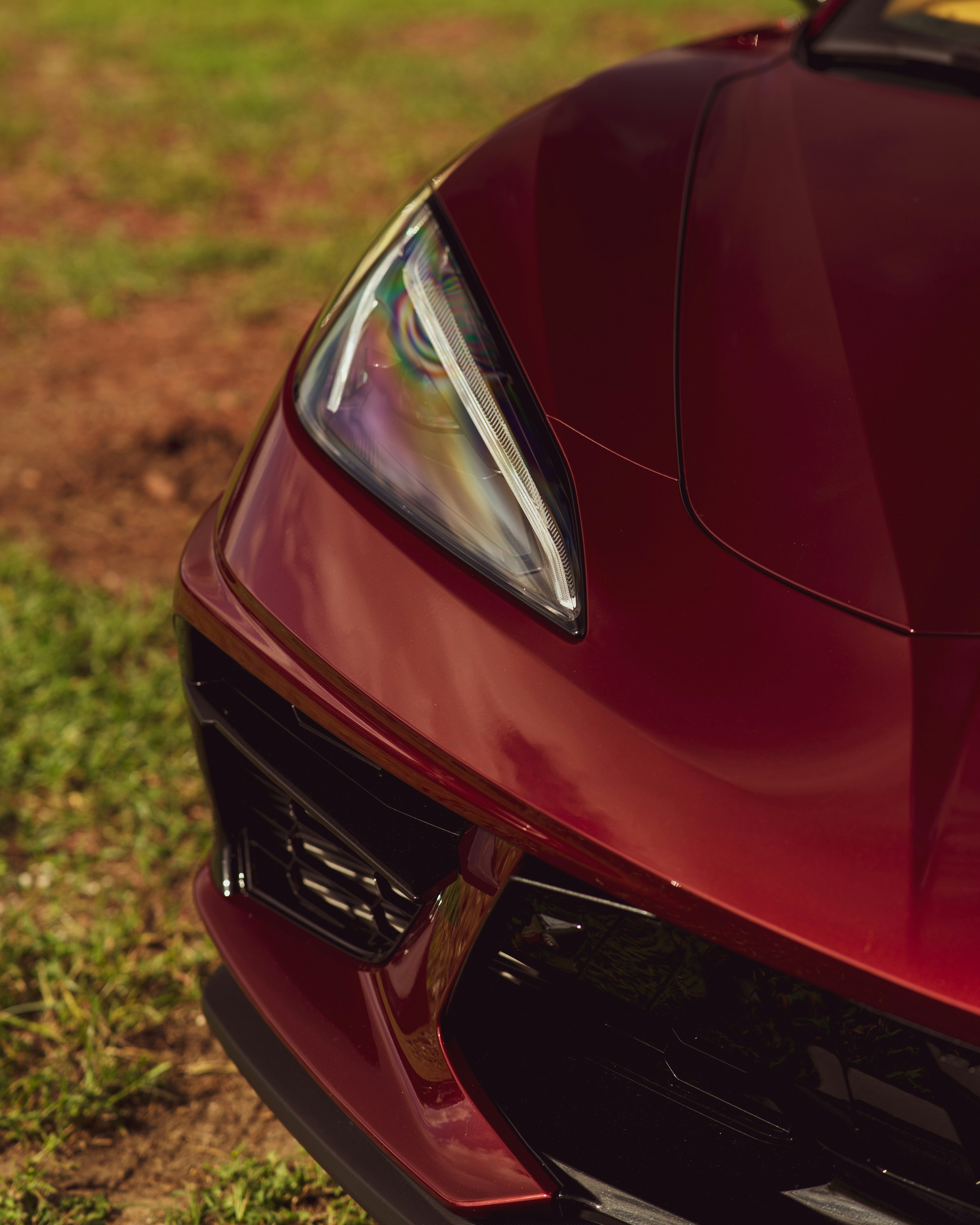 Photo by 535_productions