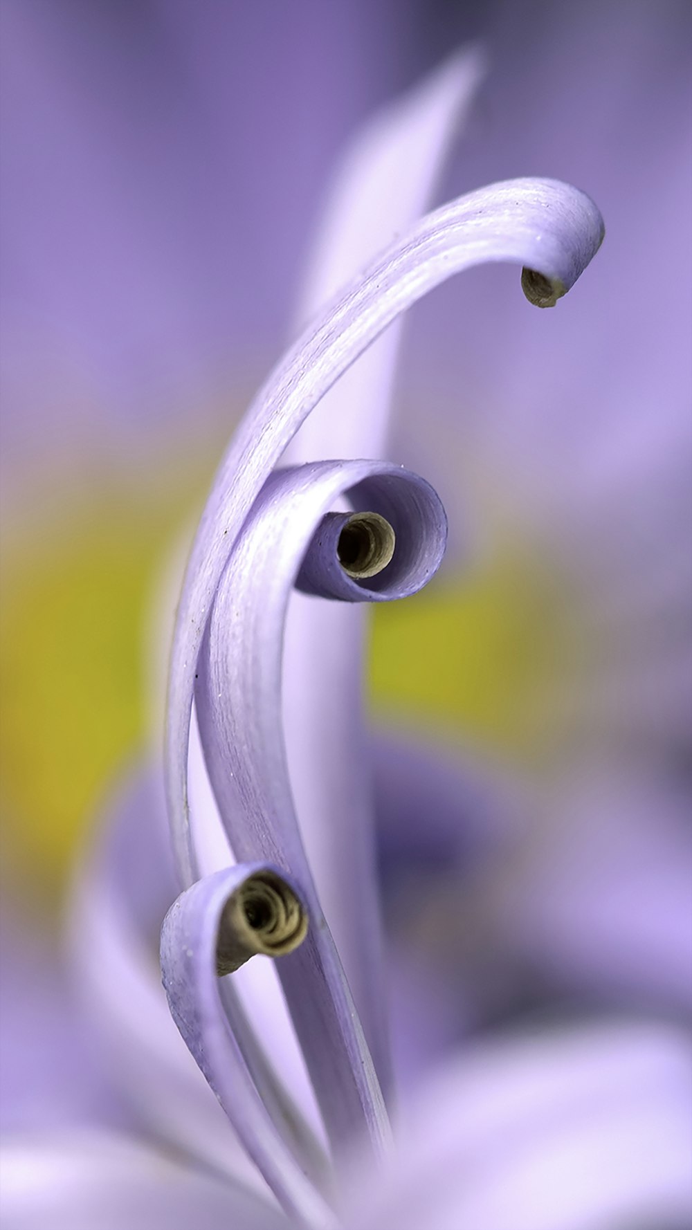 white spiral light bulb in tilt shift lens