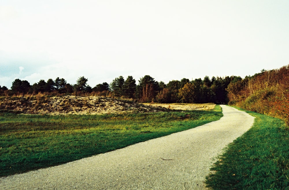 Grünes Grasfeld in der Nähe der grauen Betonstraße