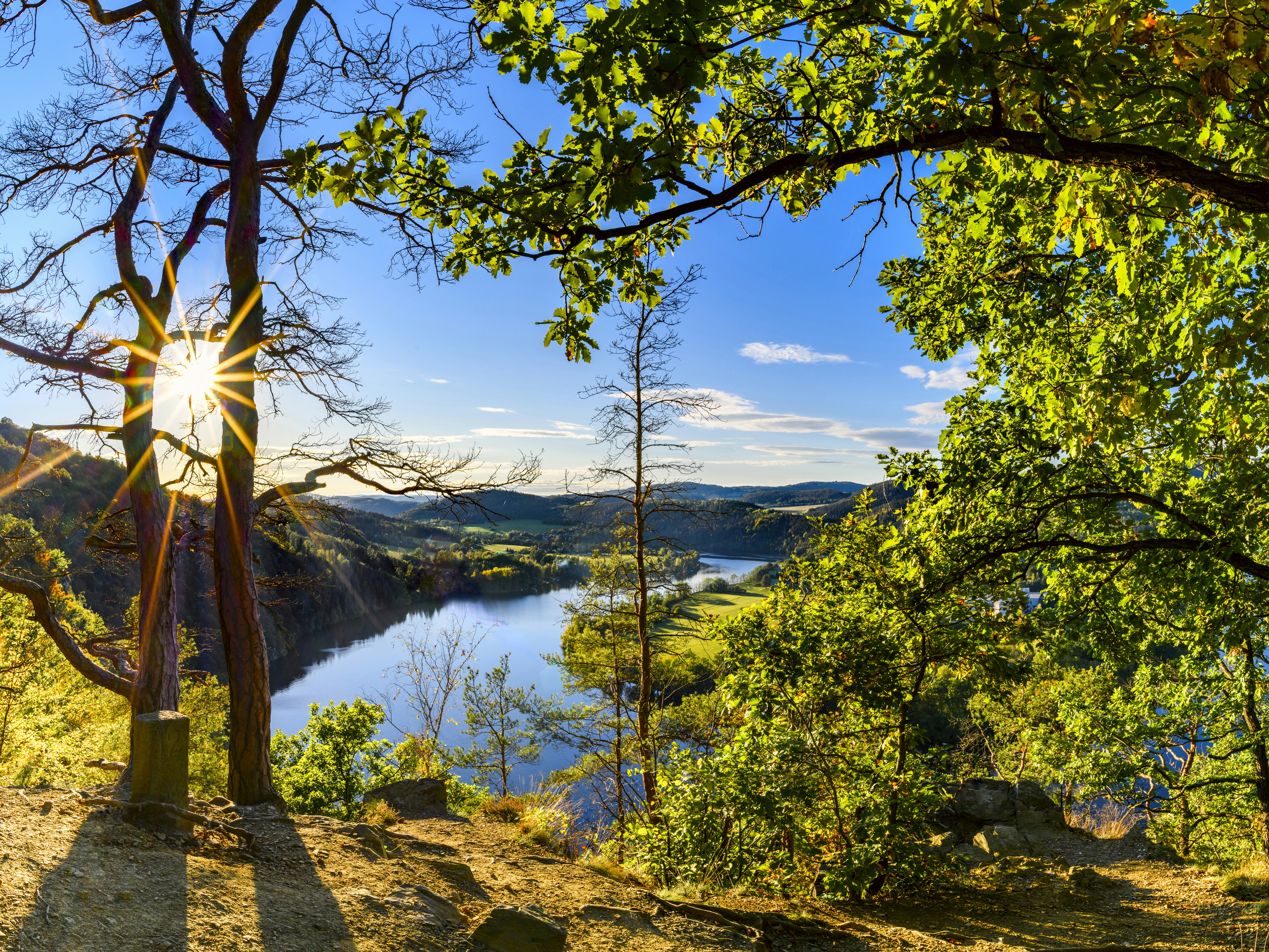 green trees near lake under blue sky during daytime