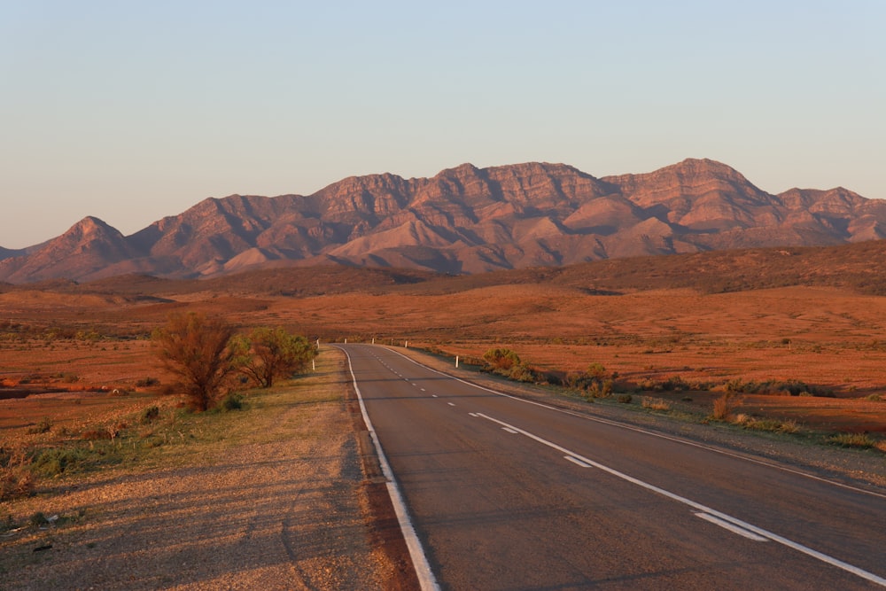 gray concrete road near brown mountains during daytime