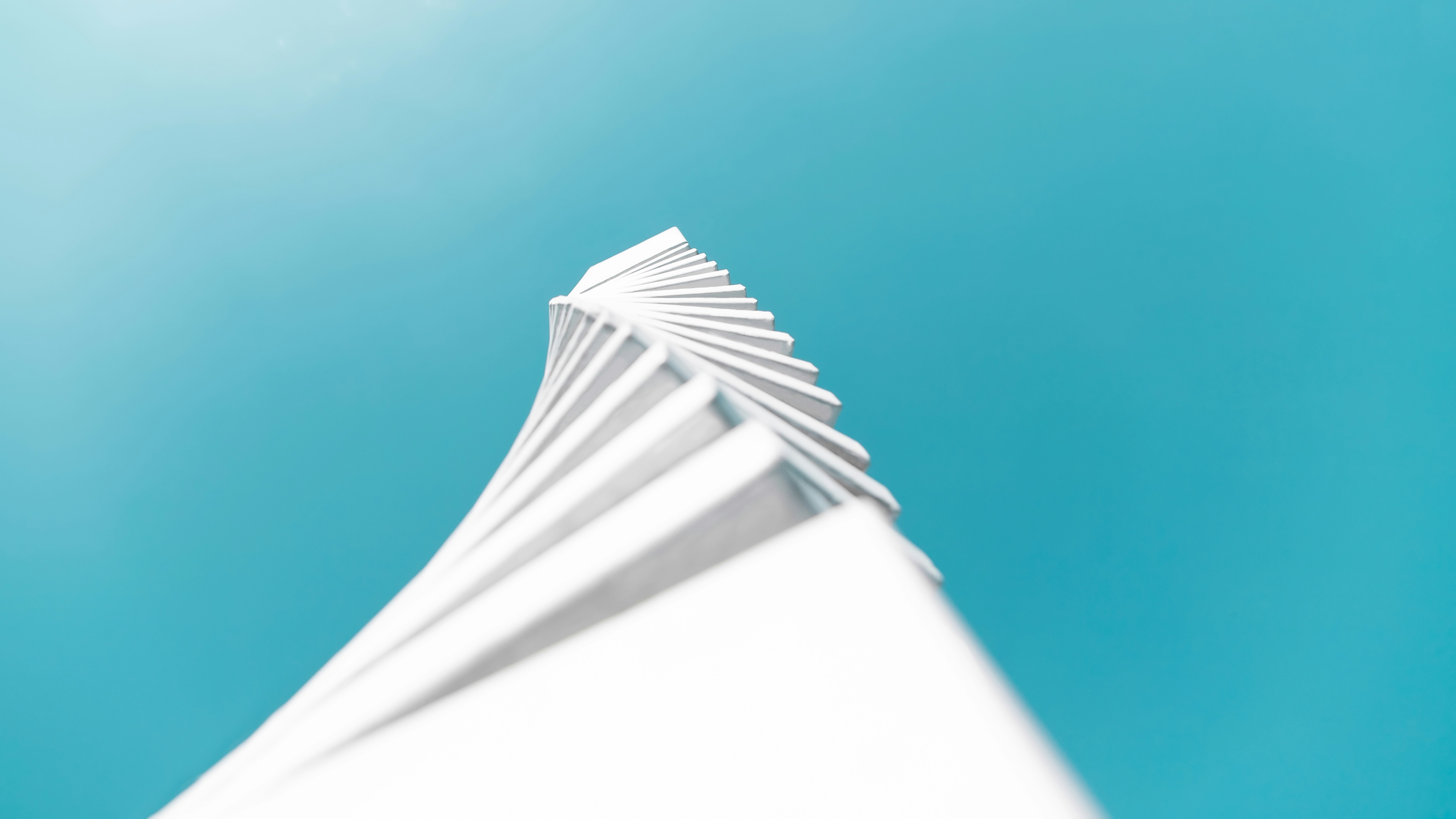 Photo by saeed_karimi