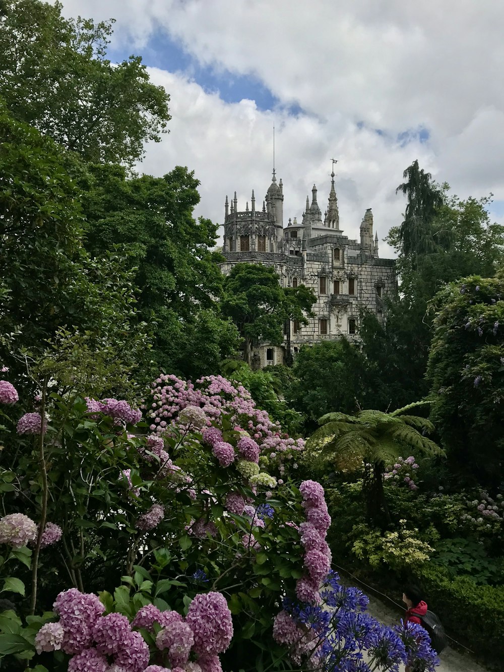 Fleurs violettes près du château blanc pendant la journée