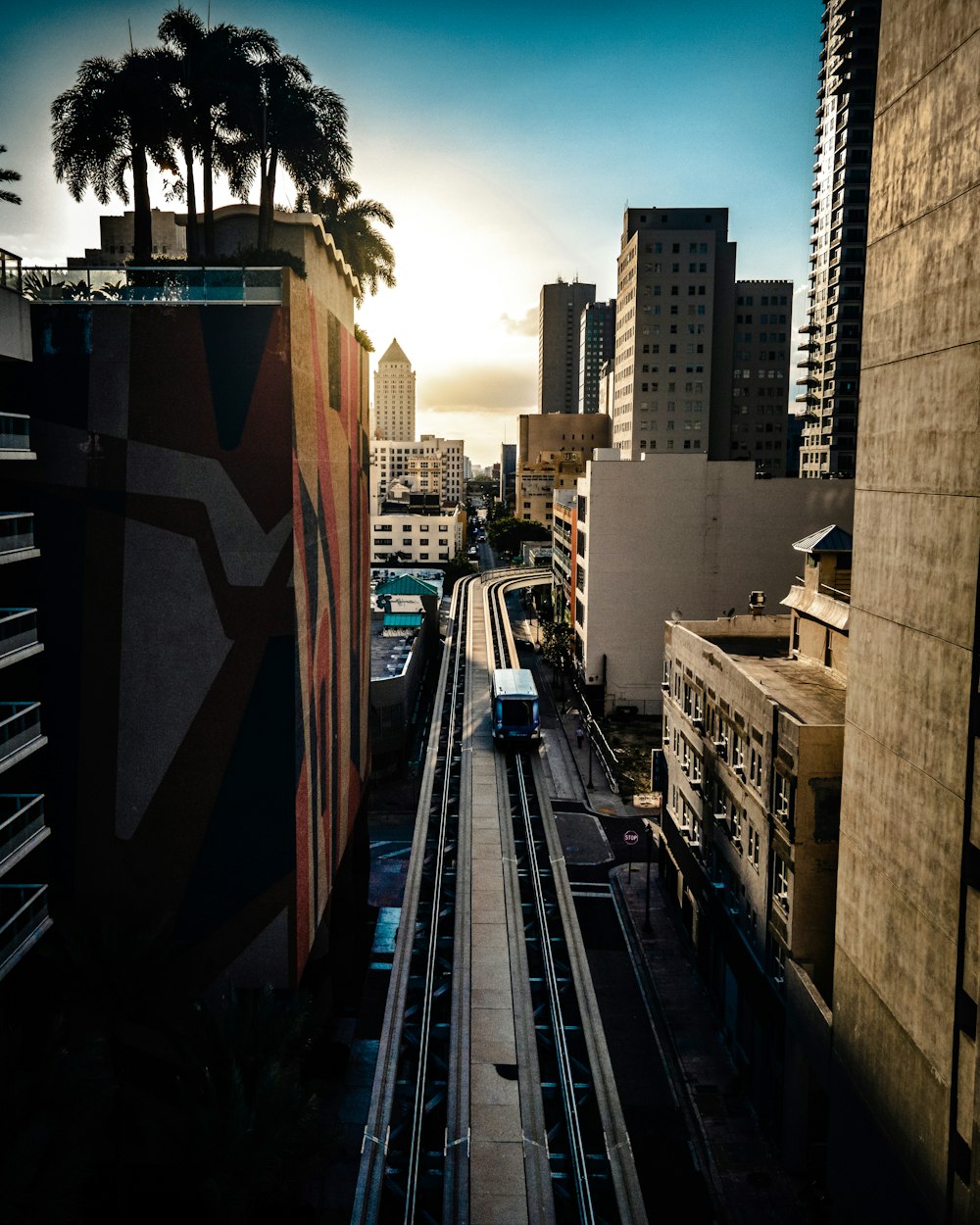 cars on road between buildings during daytime