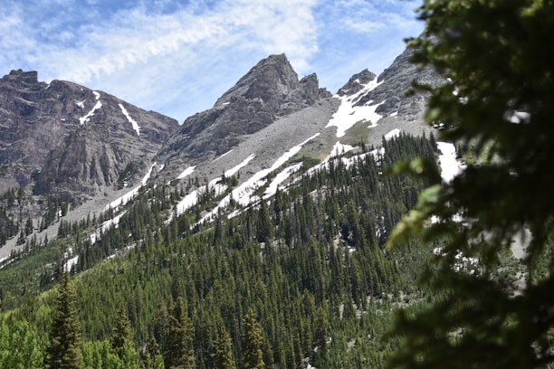 green pine trees near snow covered mountain during daytime