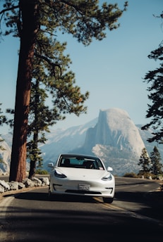 A white Tesla car is parked on a road surrounded by tall pine trees. In the background, a large granite mountain rises under a clear blue sky, suggesting a scenic location such as a national park.