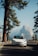 A white Tesla car is parked on a road surrounded by tall pine trees. In the background, a large granite mountain rises under a clear blue sky, suggesting a scenic location such as a national park.