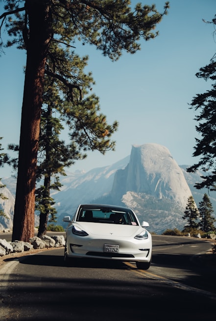 A white Tesla car is parked on a road surrounded by tall pine trees. In the background, a large granite mountain rises under a clear blue sky, suggesting a scenic location such as a national park.