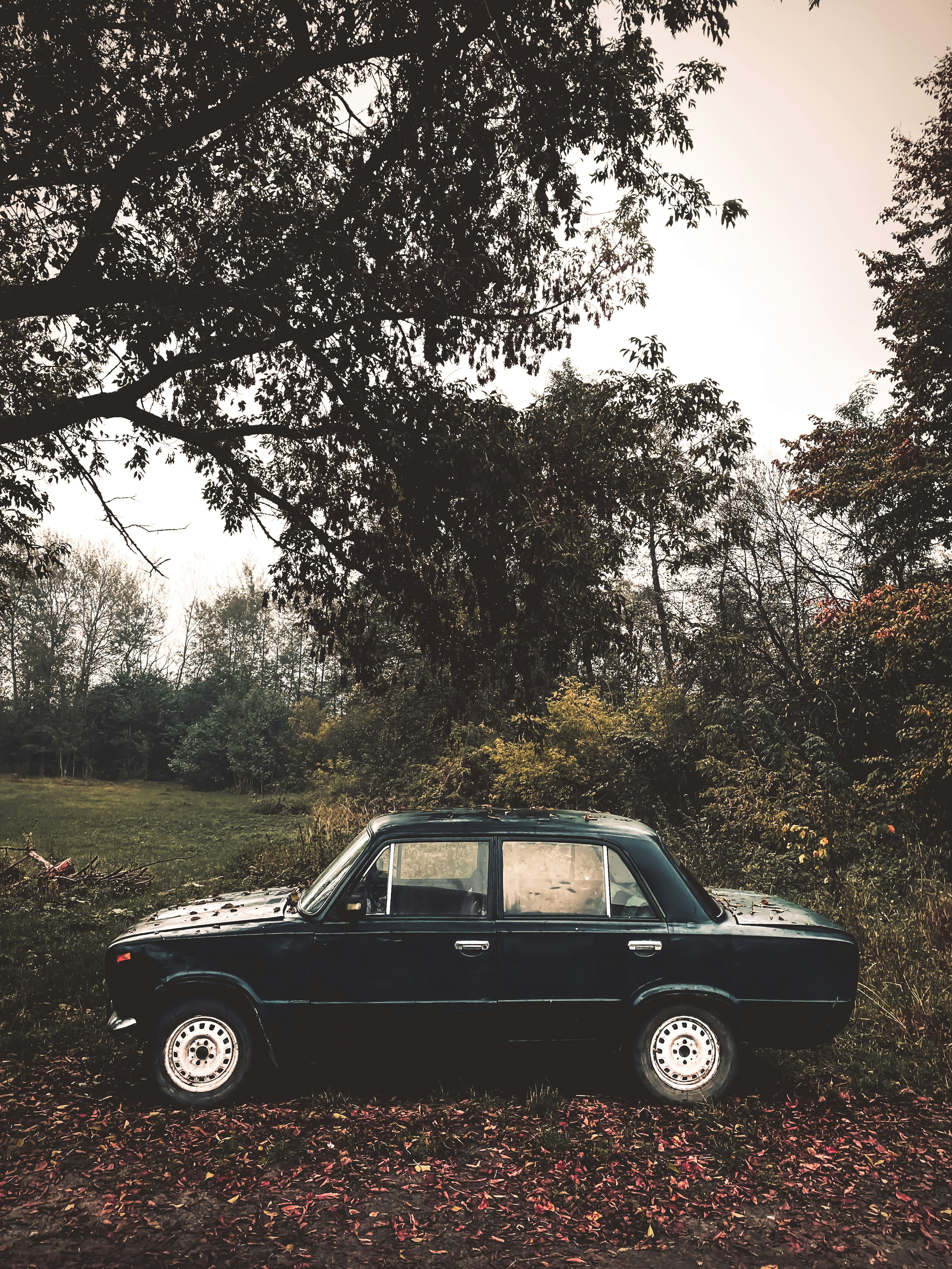 Photo by rushilologist