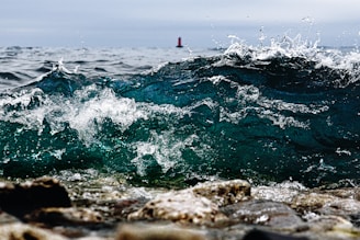 person in red shirt standing on rock near sea during daytime