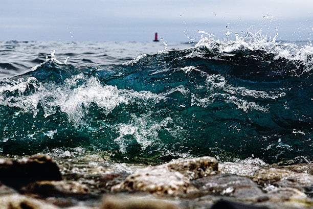 person in red shirt standing on rock near sea during daytime