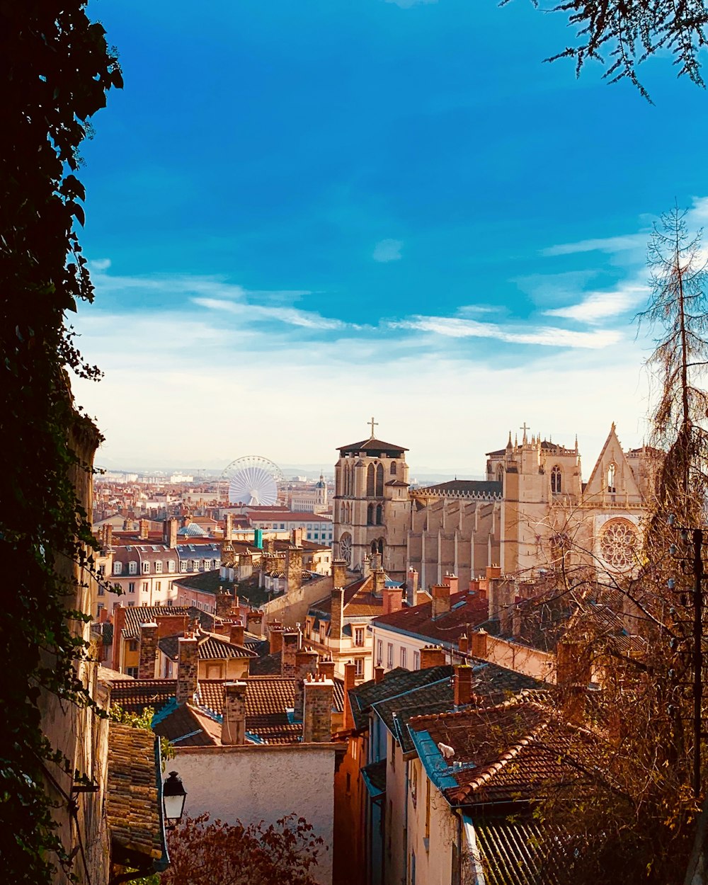 Braune und weiße Betongebäude unter blauem Himmel tagsüber