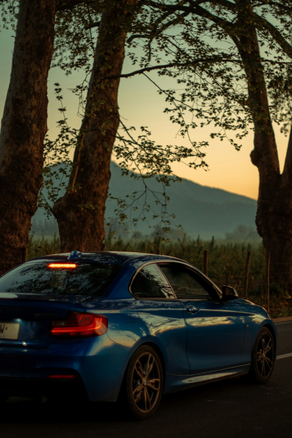 black bmw m 3 coupe parked near brown tree during daytime