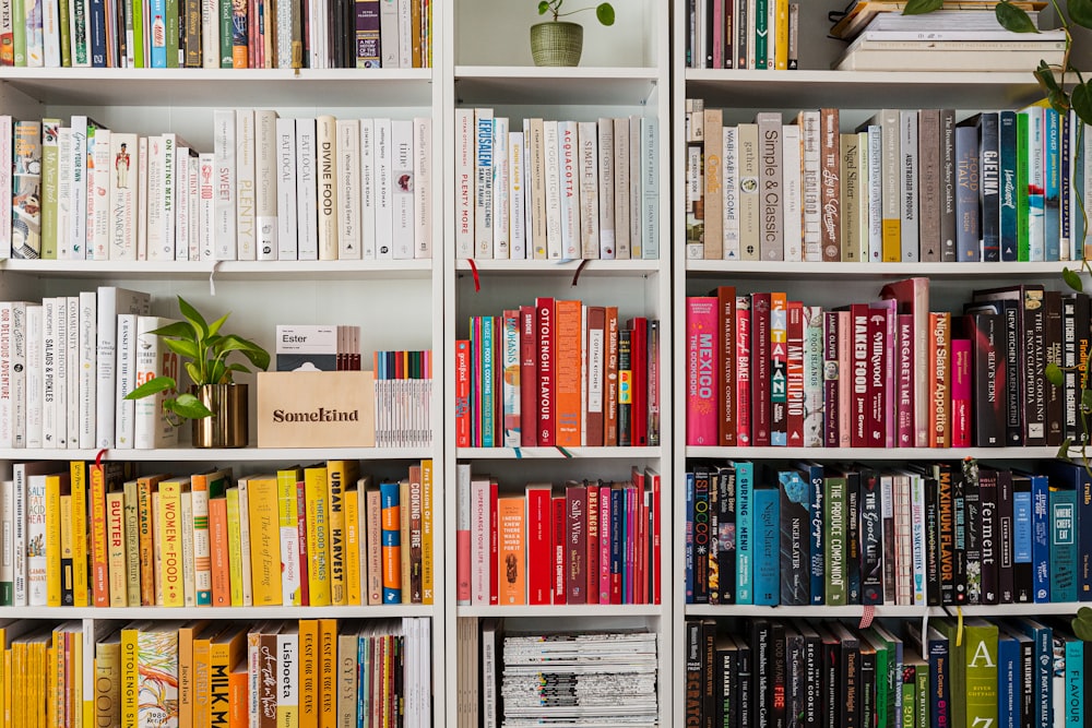 libri su scaffale di legno bianco