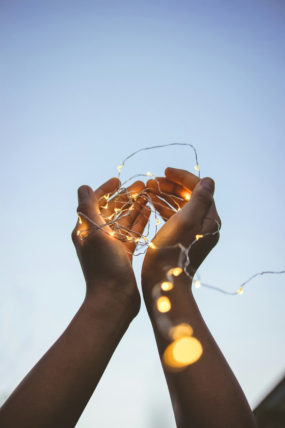 person holding gold string lights