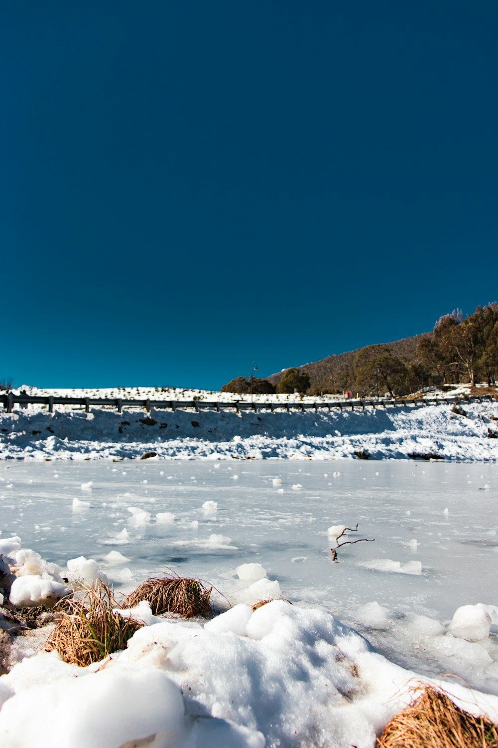 white birds on snow covered ground during daytime