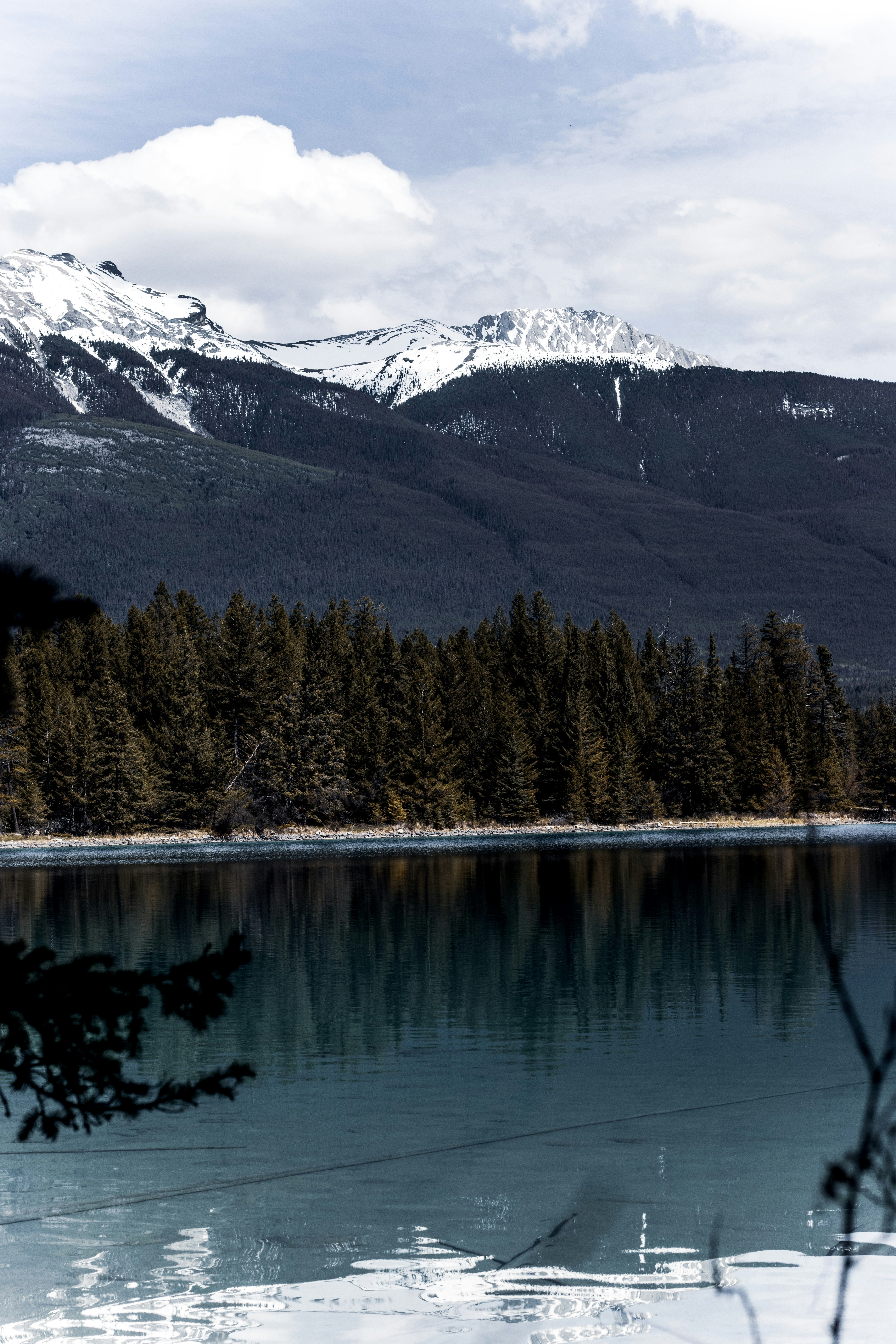 Photo by emilivna_photography