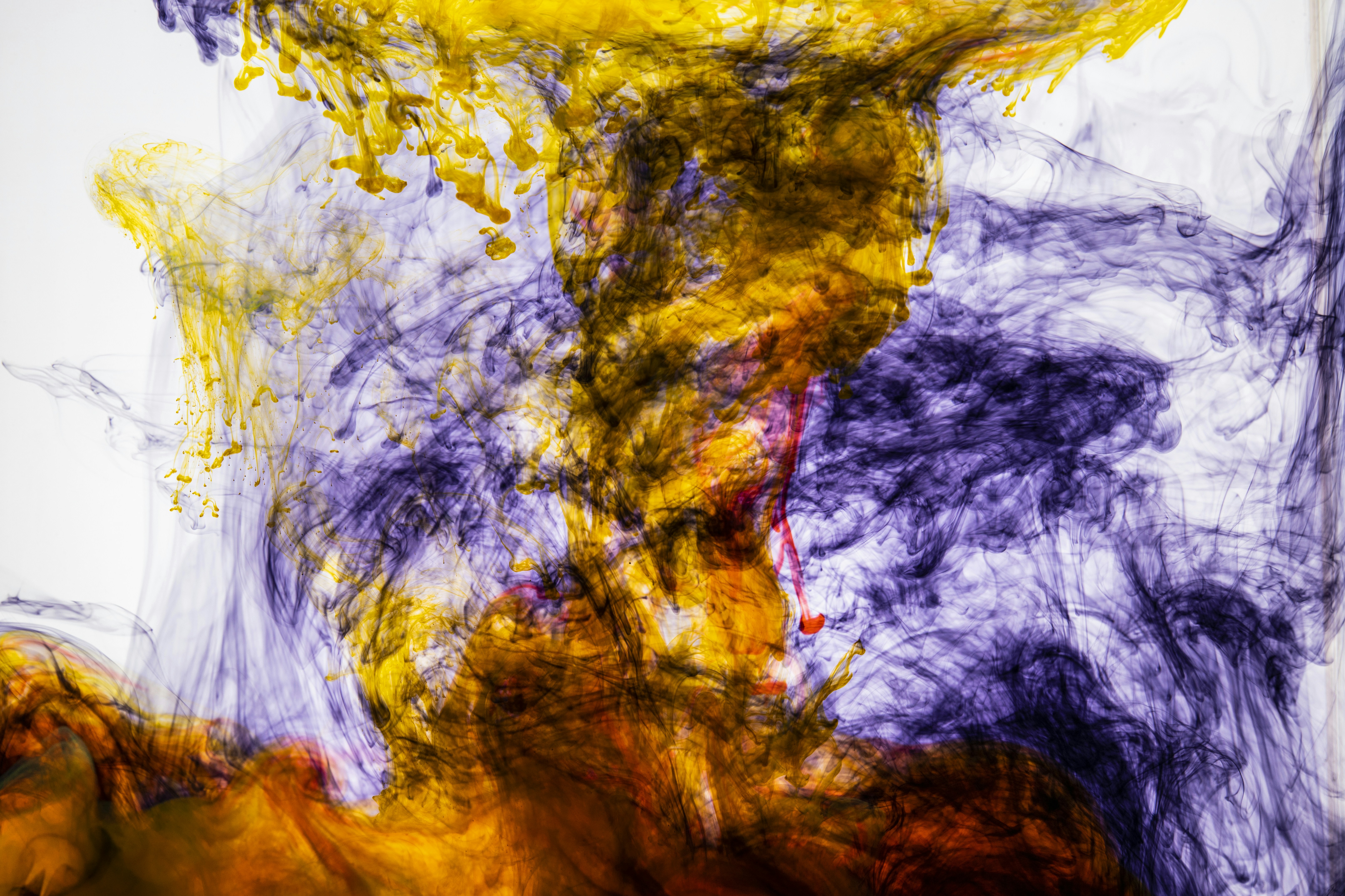 Photo by enginakyurt