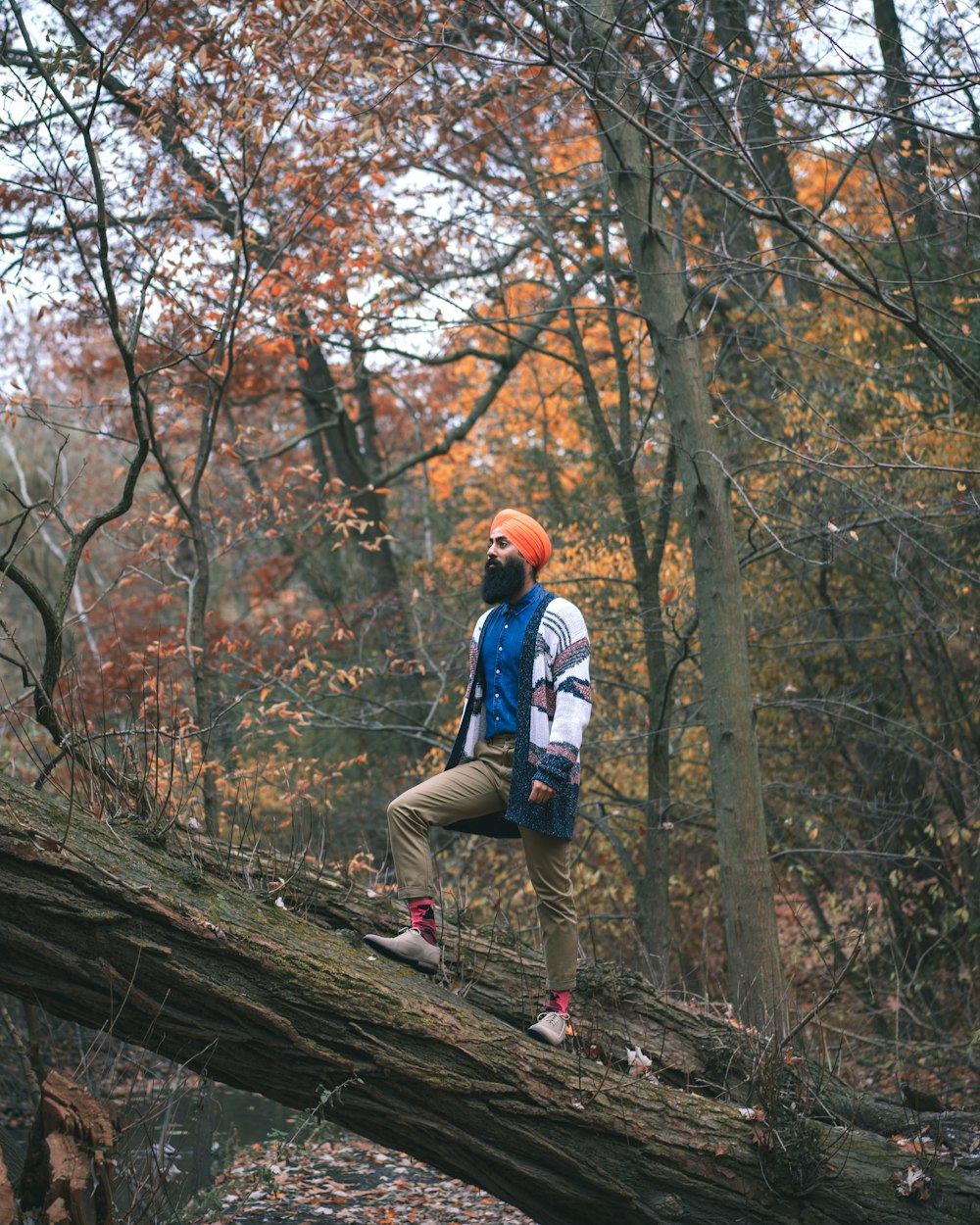 uomo in giacca blu e pantaloni marroni che indossa uno zaino blu che cammina sul tronco marrone dell'albero durante