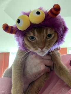 A cat is wearing a whimsical costume featuring a purple furry headpiece with large, protruding yellow eyes and orange-striped antennae. The cat is being held by a person whose hand is partially visible.
