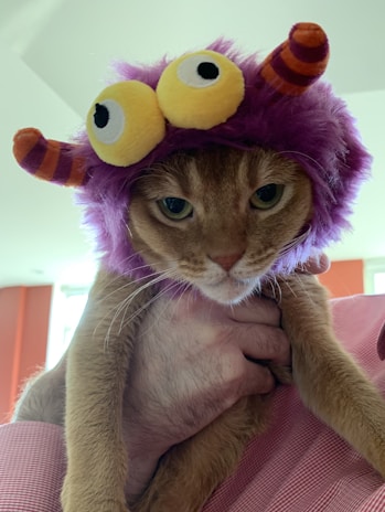 A cat is wearing a whimsical costume featuring a purple furry headpiece with large, protruding yellow eyes and orange-striped antennae. The cat is being held by a person whose hand is partially visible.