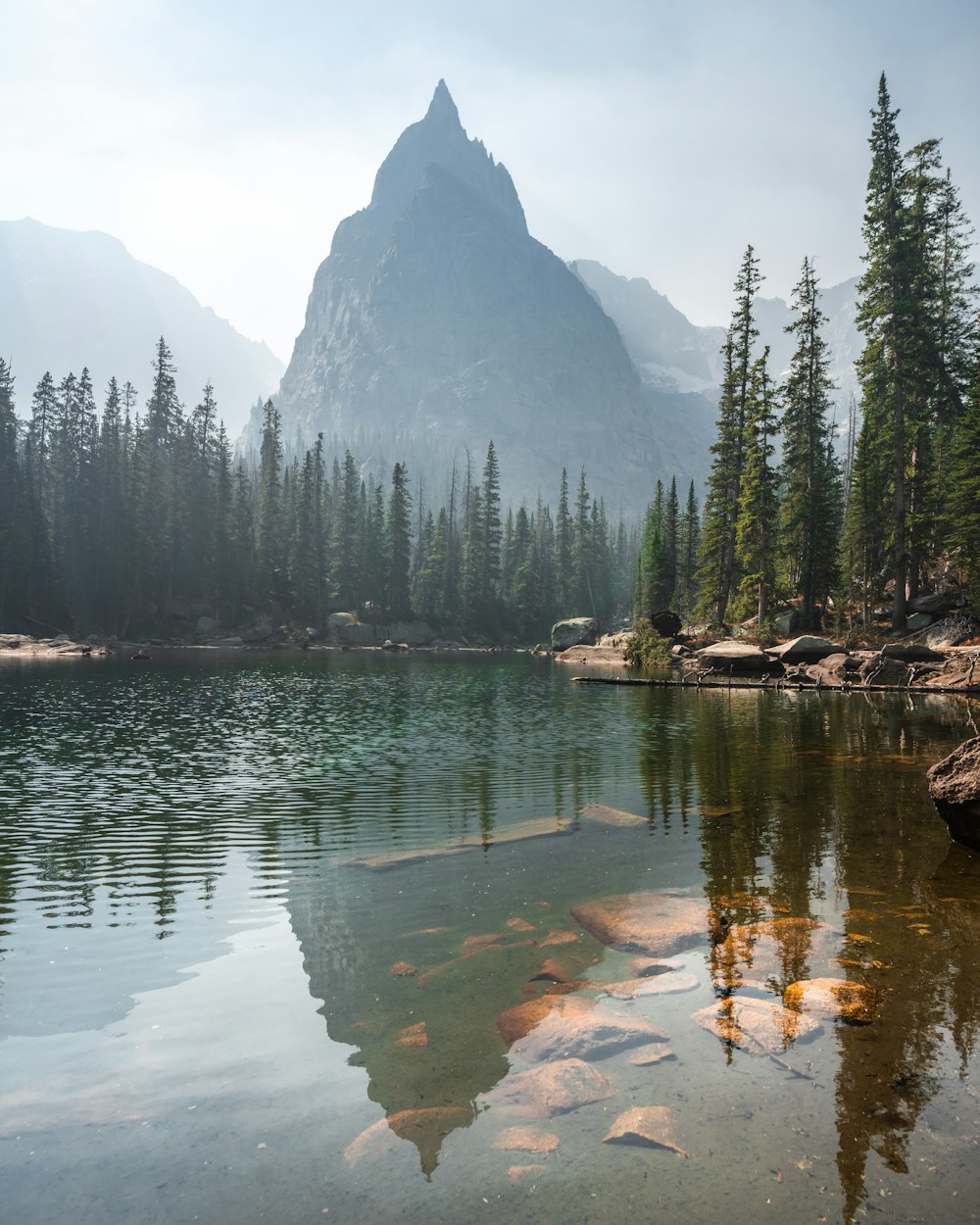 green pine trees near lake during daytime