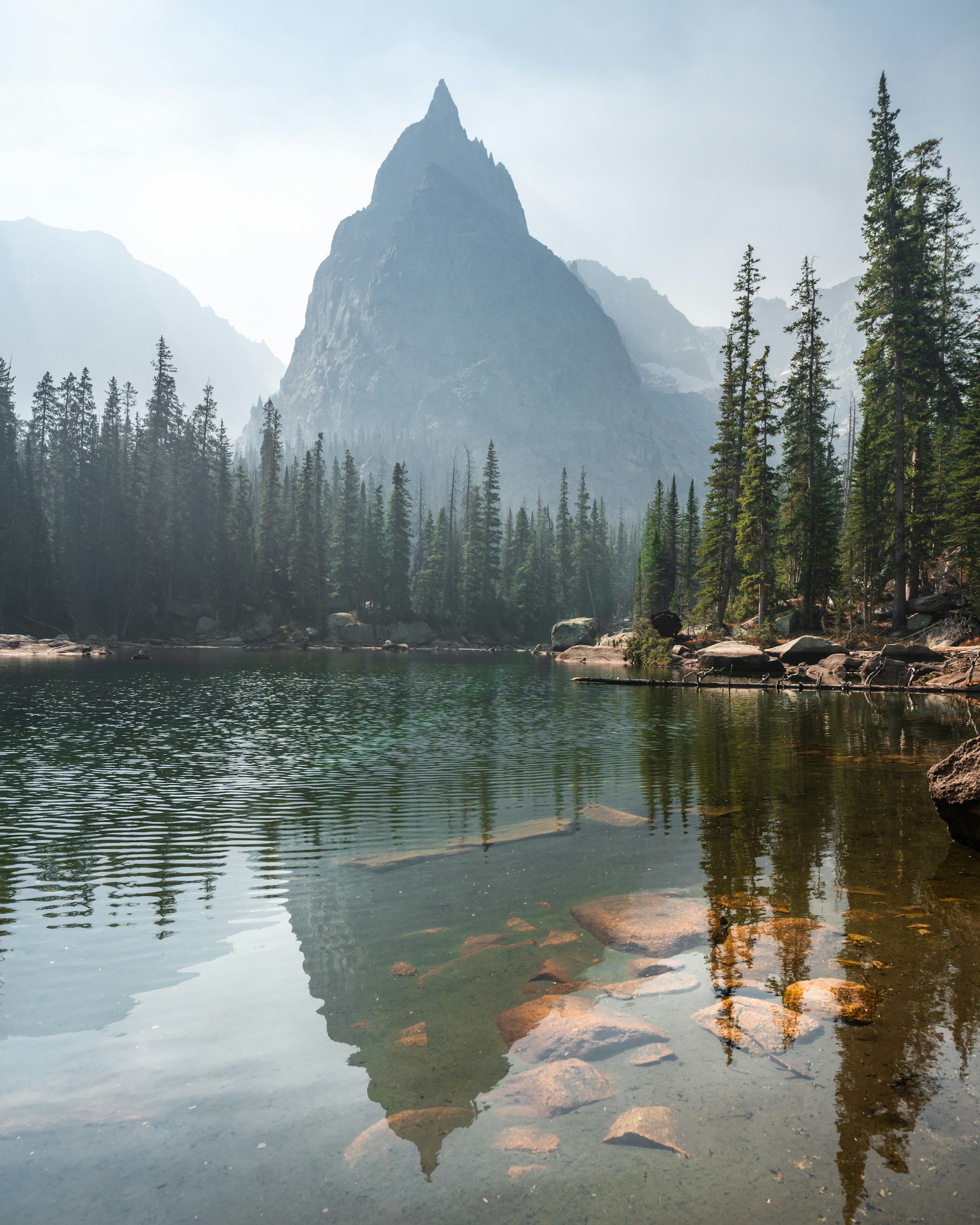 green pine trees near lake during daytime