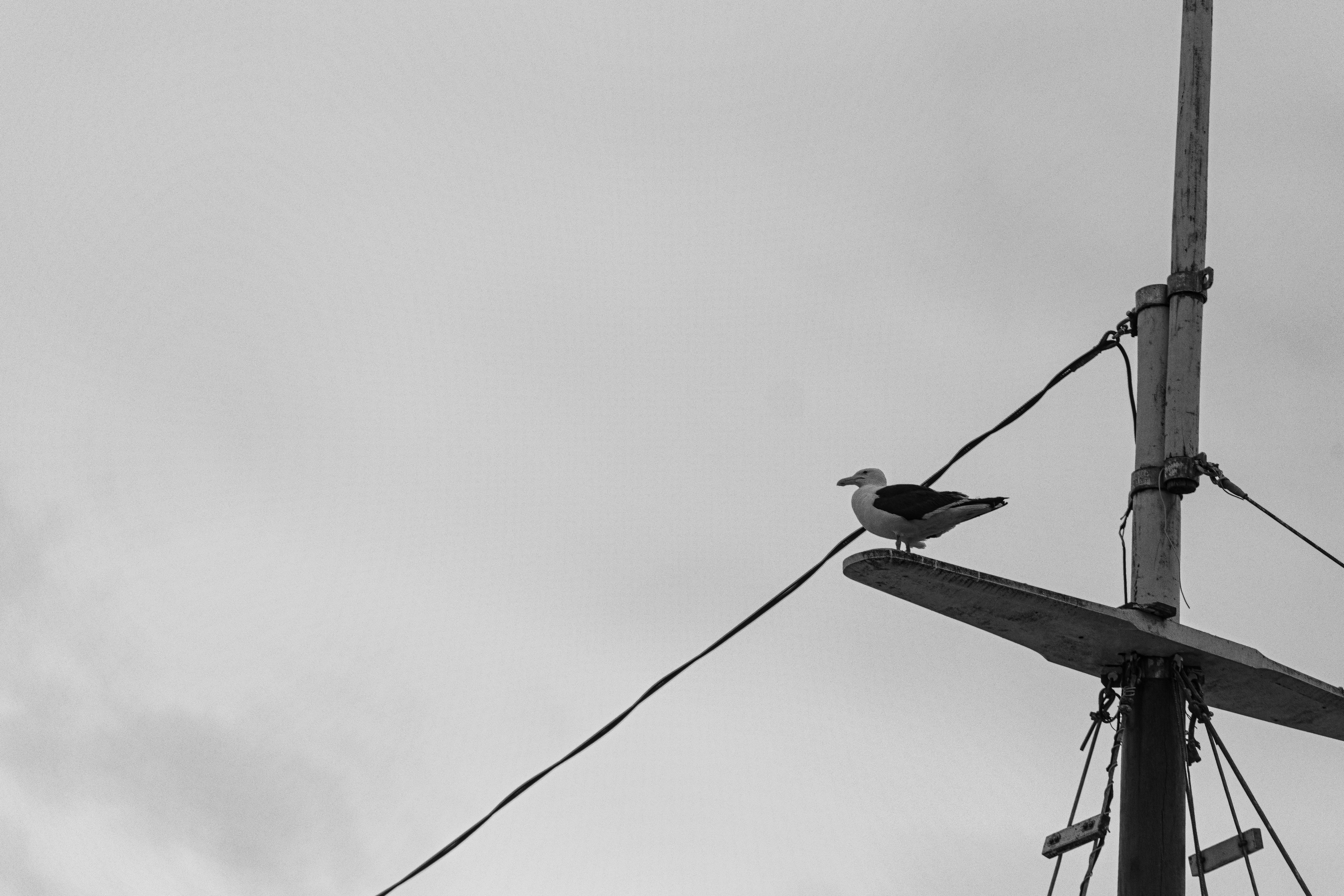 Photo by ferreiramarcos___