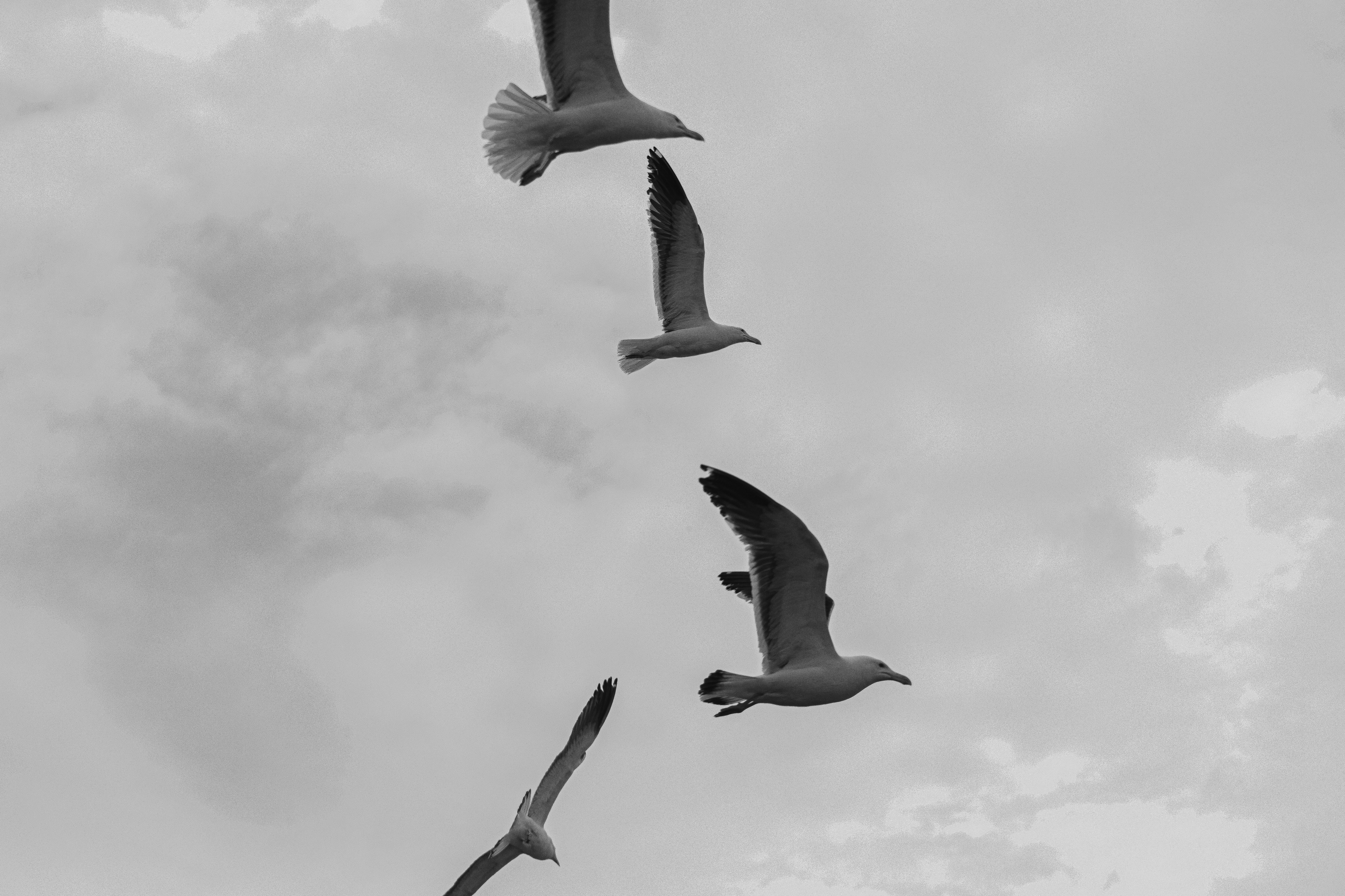 Photo by ferreiramarcos___