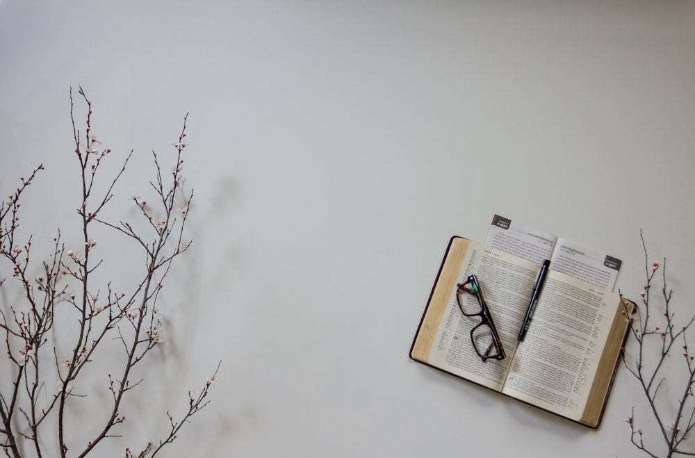 brown book on brown tree branch