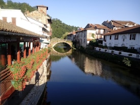 A serene river runs through a picturesque town with traditional buildings lining both sides. A stone bridge arches gracefully over the water. Vibrant flowers in planters adorn the riverside, and a restaurant with a small terrace overlooks the scene. Lush greenery and a bright blue sky enhance the tranquil atmosphere.