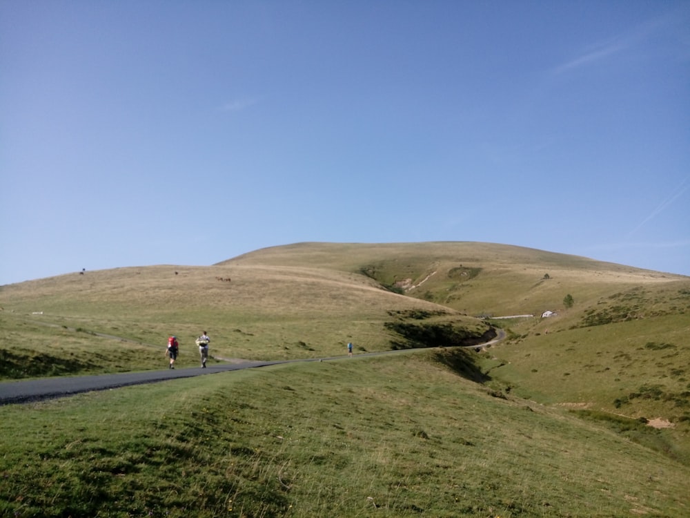 people walking on road near green grass field during daytime