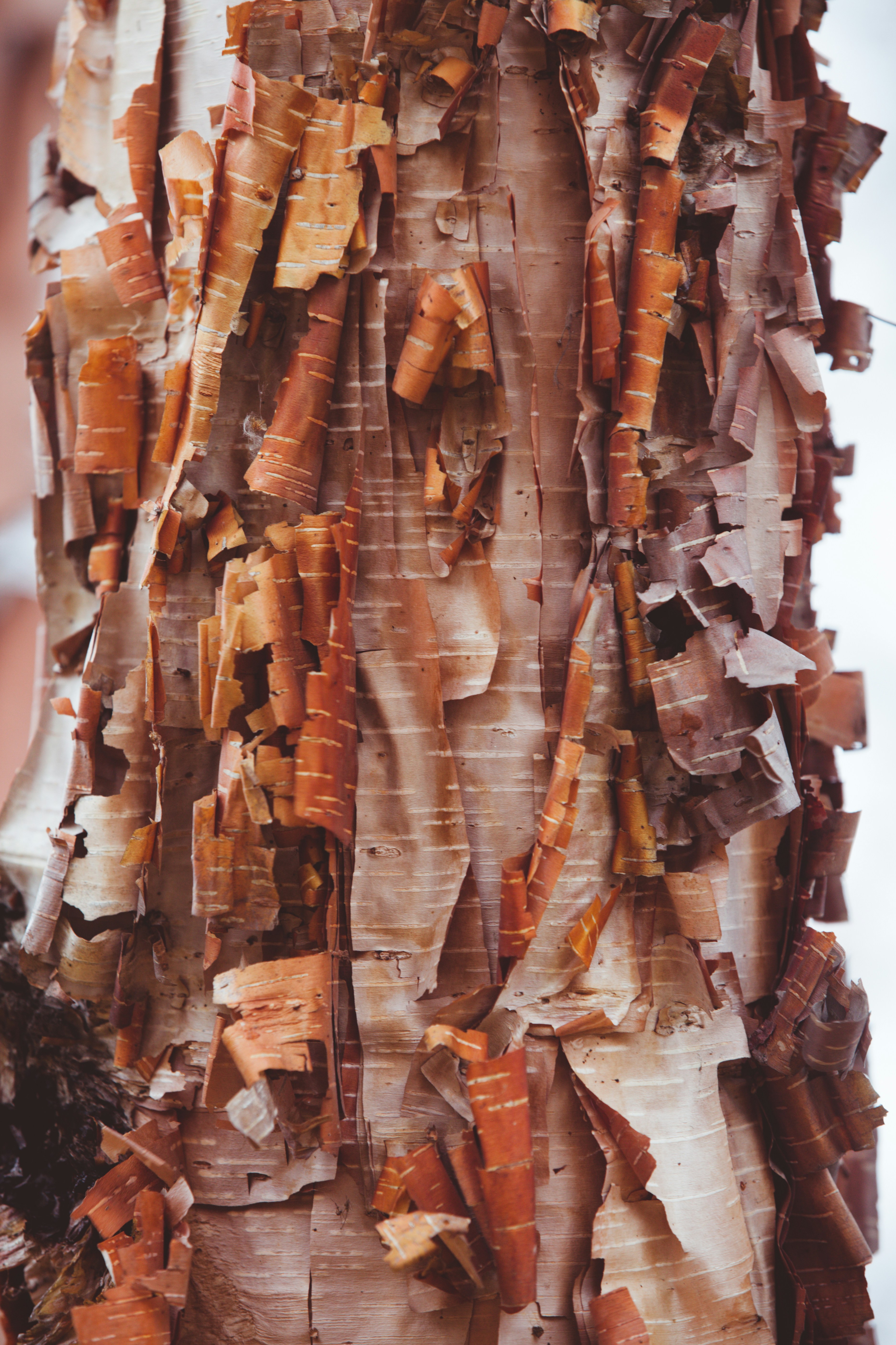 Photo by anamnesis33