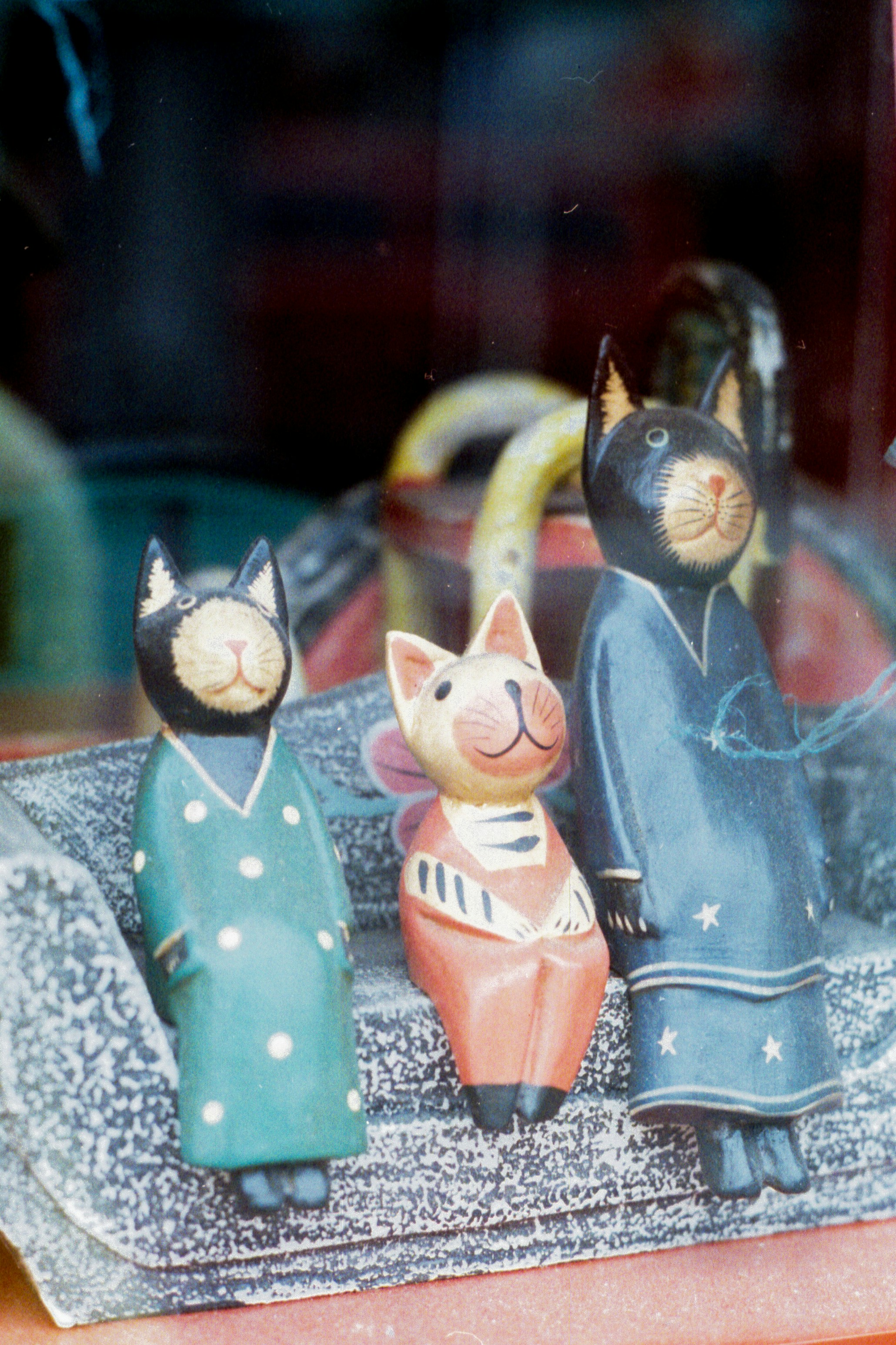 Photo by shimikumi32