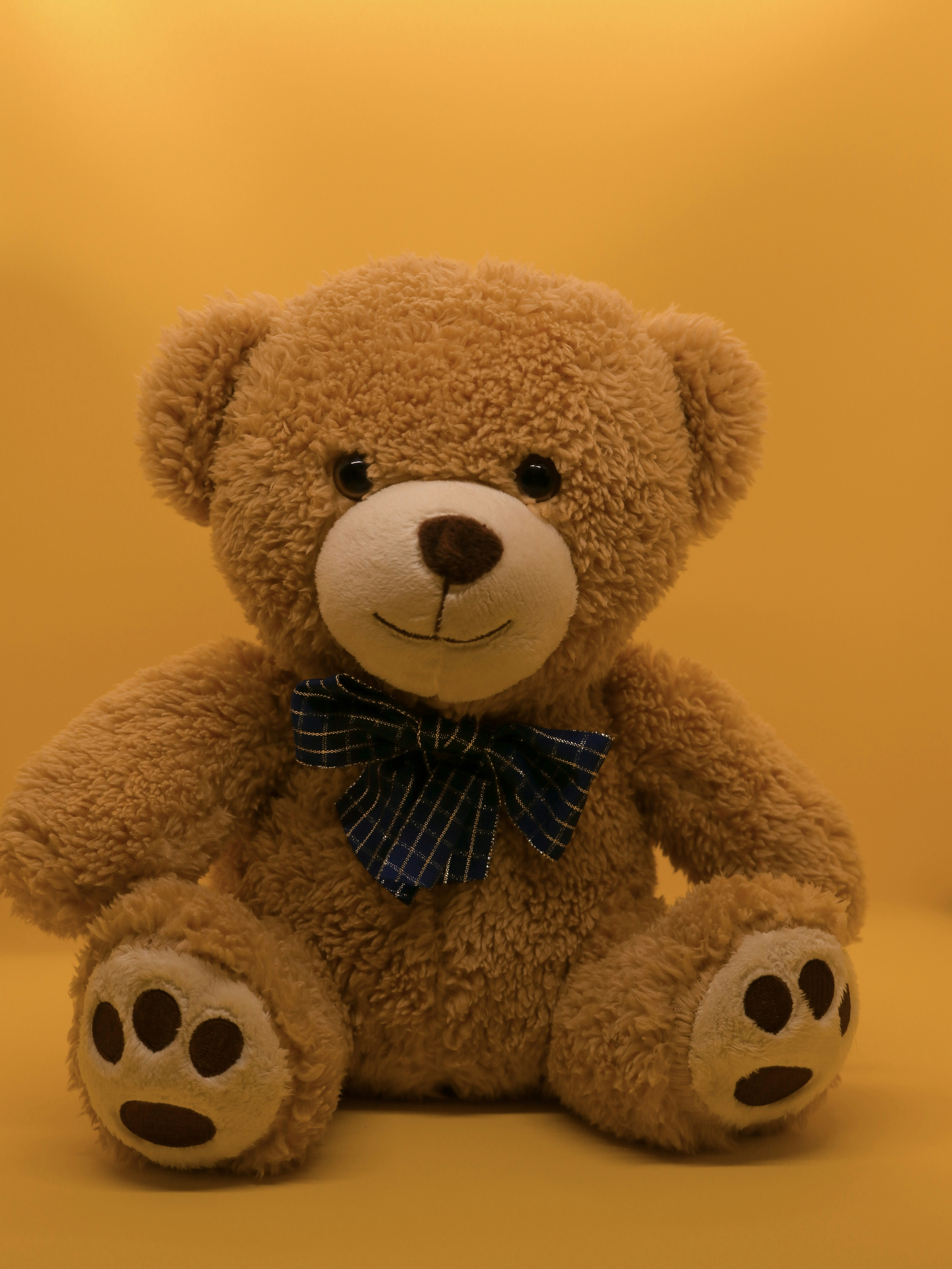 Cute Teddy