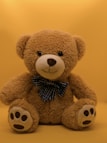 brown teddy bear with black and white bow tie