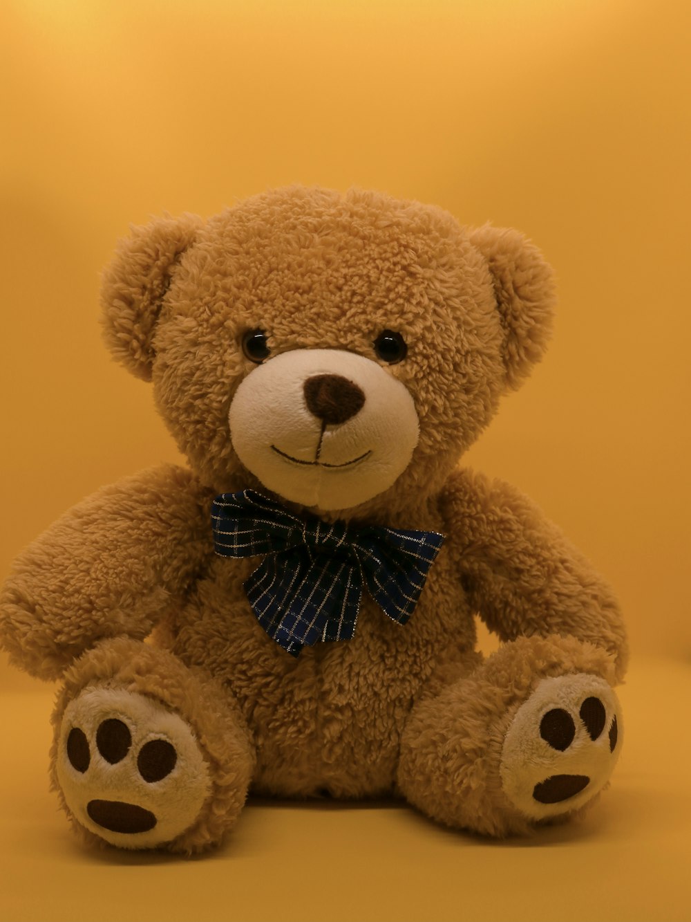 Teddy Day 2023 Images & HD Wallpapers for Free Download Online